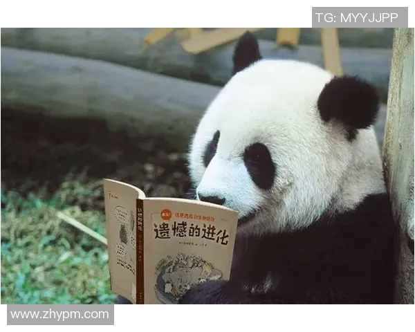 那些让人哭笑不得的足球明星们的搞笑瞬间与糗事回顾